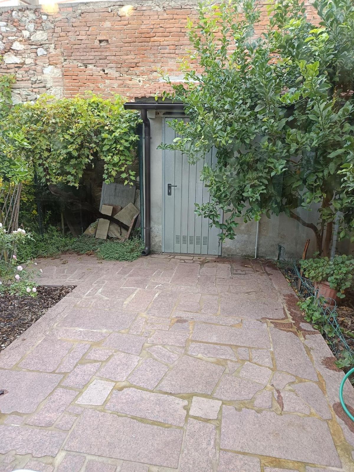 Apartament Casa San Michele Piza Zewnętrze zdjęcie